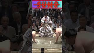 Mind Over Matter in the Sumo Arena: Success Isn't About Size or Shape#ytshort #viralclip