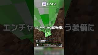 【1.20】可能性無限大の最強機能が追加されてた！！【マイクラ豆知識 解説 裏技】