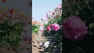[ وَكَذَٰلِكَ يَجْتَبِيكَ رَبُّكَ وَيُعَلِّمُكَ مِنْ تَأْوِيلِ الْأَحَادِيثِ ..] - القارئ إسلام صبحي