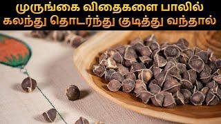 முருங்கை விதைகளை பாலில் கலந்து தொடர்ந்து குடித்து வந்தால் | Drumstick seeds Health Benefits in Tamil