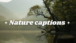 Short nature captions | Aesthetic nature captions for instagram | Nature caption english