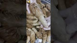 شيف أبو عمر - القباوة المحشية حكاية عند البيت الدمشقي