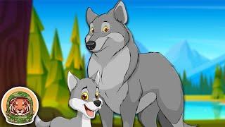 Meet The Wolf & Their Pack! | Animal Songs For Kids | KLT Wild