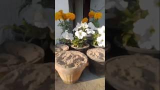 tilawat Quran pak#Qari Syed Abdul basit samad  tilawat Quran with Urdu translation viral video
