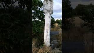 A shrine from 1864 on the road to the Słup Lagoon 2023-07-29