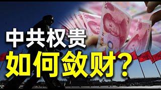 50个中共权贵家族资产10万亿美元！？他们如何敛财？揭秘中国真正的首富是谁。王小鲁：中国灰色收入占GDP的百分之三十