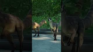 Sinosauropteryx Does a Little Butt Wiggle Before Pouncing Towards His Mate #jwe2 #shorts