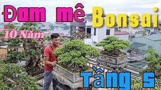 Vườn bonsai đẹp  tầng 4 * 5 của anh Quyền Hà Nội