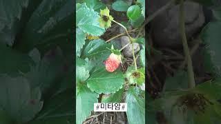 2024년 11월 25일