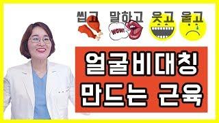 안면비대칭 교정, 얼굴 근육의 균형을 찾아라~!!( 얼굴비대칭을 만드는 근육)