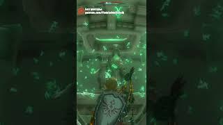Истинный смысл #plotoiadnuikeksik #blacksilverufa #нарезки #thelegendofzeldatearsofthekingdom