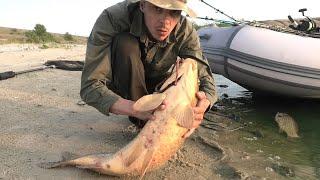 КРУПНЫЙ ДИКИЙ САЗАН ПРОСТО НА ЧЕРВЯ!!! ГНЁТ И ДАВИТ   РЫБАЛКА НА КРУПНОГО САЗАНА