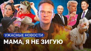 Путин в Монголии, удары по Полтаве и Львову, квадроберы, уголовочка Монеточки / «Ужасные новости»