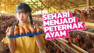 [One Day One] FIONY JADI PETERNAK AYAM!