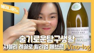 궁극의 최상급 화이트와인 샤블리 육회와함께?! | Vino-log