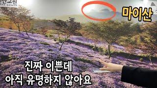 이번 주말에 어디갈까? 국내여행 추천 박람회 K-웰니스 푸드&투어리즘 페어