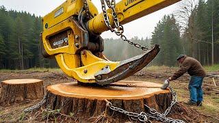 Extreme Dangerous Fastest Big Chainsaw Cutting Tree Machines | Monster Stump Removal Excavator #75