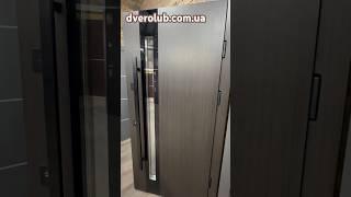 Вхідні двері Модена ручка скоба - Dverolub