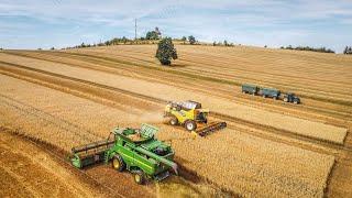 Haferernte 2022 auf dem Schwartenberg | New Holland CX 8.80 und John Deere S770i