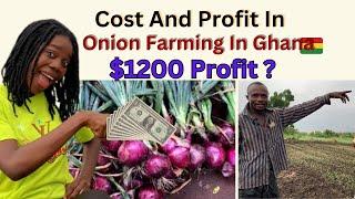 The Cost of starting Onion farming business from scratch and the  Profits of $1200 to make In Ghana