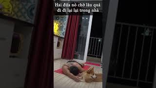 ĐANG TẬP THÌ GIẢ NGẤT Để Xem Thử 2 Đứa Cún Sử Lí Thế Nào #Shorts