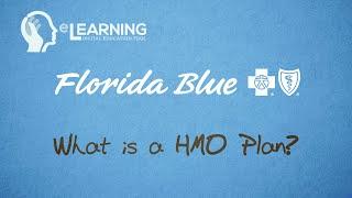 What is a HMO Plan?