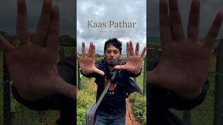 Kaas Pathar Satara 2023  | Kaas Plateau  all things to know and flowers | Kaas Vlog Day Trip