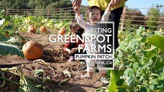 Greenspot Farms Pumpkin Patch With Kids Montage