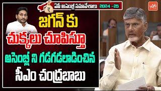 CM Chandrababu Naidu SENSATIONAL Speech On YS Jagan |  AP Assembly Sessions 2024 | YOYO TVChannel