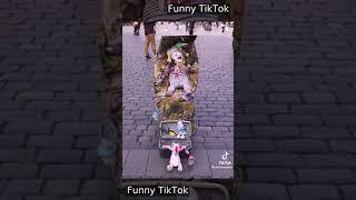 April 2023 - The Best TikTok Compilation | Funny Clips, Dance Challenges, and More!