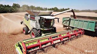 CLAAS TRION 750