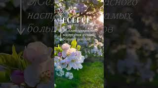 Счастливого утра! ️