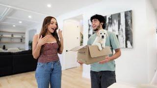 SURPRISING MY FIANCEE WITH A NEW PUPPY! *PRANK*