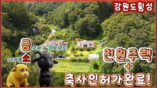 [횡성전원주택+]귀한축사인허가완료한토지매매! 원주부동산119가 횡성에 다녀왔습니다. 