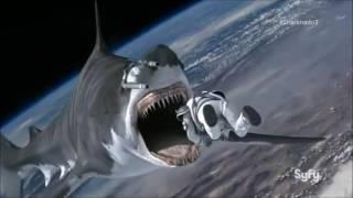 Sharknado The Offspring Lyrics