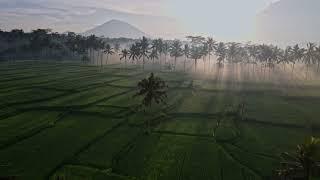 Perfect Sunrise in Bali | Mancingan Riceterrace Trecking #balinature