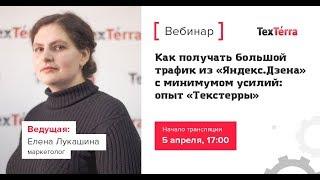 Как получать большой трафик из «Яндекс.Дзена» с минимумом усилий: опыт «Текстерры»