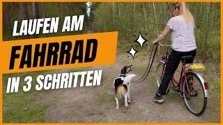 So lernt dein Hund, am Fahrrad zu laufen - ohne Stress!