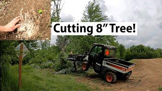  Bobcat Toolcat Cutting an 8 Inch Tree -  Clearing Brush and Trees for a Trail