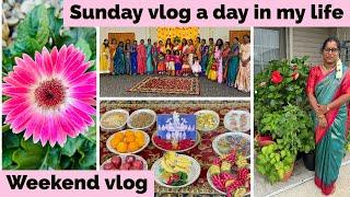  தமிழில் ~America Weekend vlog |Baby shower️️| Sunday vlog a day in my life tamil | Tamil school