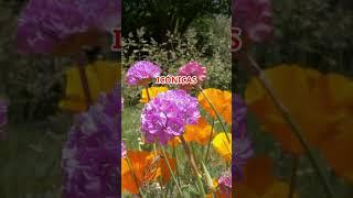 ¡Así luce España en primavera! 