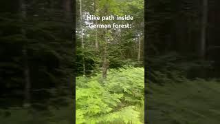 Hike path inside German forest #germany #nature #hiking #outdoor #outside #explore #discover