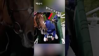 말 없이 경주에서 우승한 남자