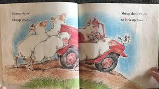 Sheep in a Jeep by Nancy Shaw