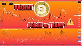 BIGGEST MOMENT️ For Dogecoin and Bitcoin!? BEAR MARKET CRASH or BULL RUN PUMP COMING!?