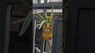 hanging planter | plastic water bottle reuse ideas | diy planter | best out of waste