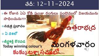 Kukkuta Sastram colour update/ today colour update/vision of kukkuta sastram colour updae