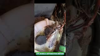 “Jeep Crank No Start – Damn Rats Struck Again!” #shorts  #autorepair #mobilemechanic