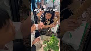 몬스테라 알보 선물을 해줬어요 어머니가 좋아하겠네요