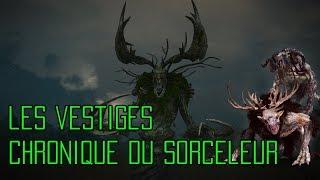 Les Vestiges - Chronique du Sorceleur